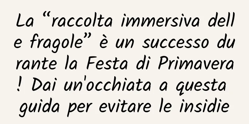La “raccolta immersiva delle fragole” è un successo durante la Festa di Primavera! Dai un'occhiata a questa guida per evitare le insidie