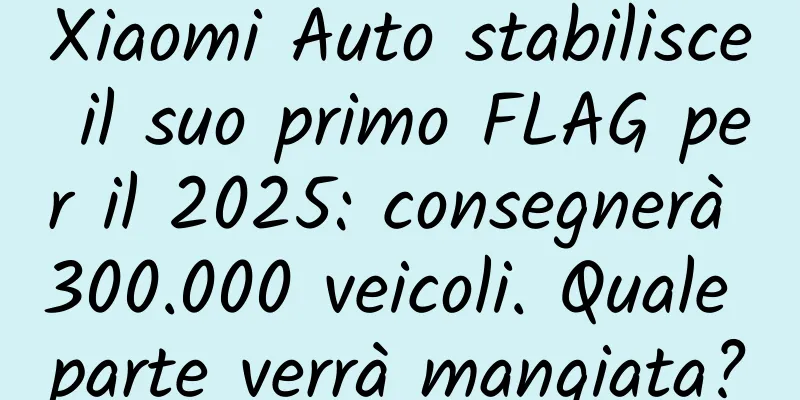 Xiaomi Auto stabilisce il suo primo FLAG per il 2025: consegnerà 300.000 veicoli. Quale parte verrà mangiata?