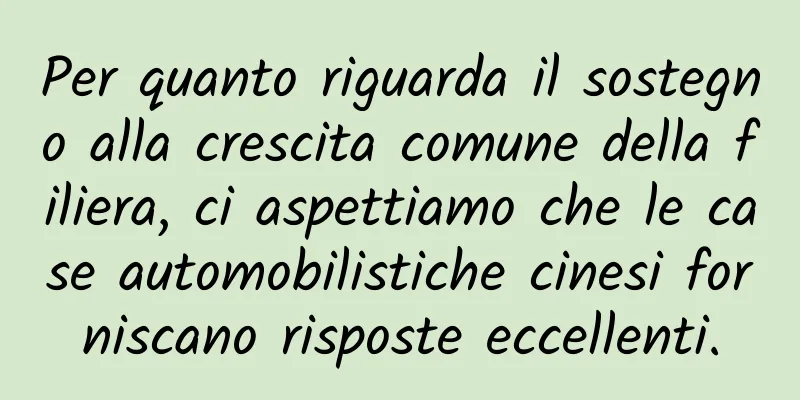Per quanto riguarda il sostegno alla crescita comune della filiera, ci aspettiamo che le case automobilistiche cinesi forniscano risposte eccellenti.