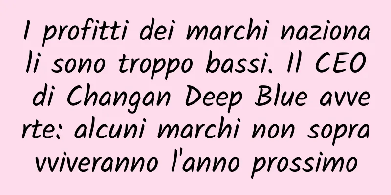 I profitti dei marchi nazionali sono troppo bassi. Il CEO di Changan Deep Blue avverte: alcuni marchi non sopravviveranno l'anno prossimo