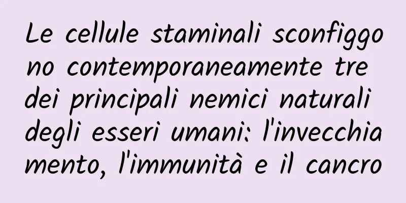 Le cellule staminali sconfiggono contemporaneamente tre dei principali nemici naturali degli esseri umani: l'invecchiamento, l'immunità e il cancro