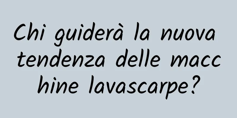 Chi guiderà la nuova tendenza delle macchine lavascarpe?
