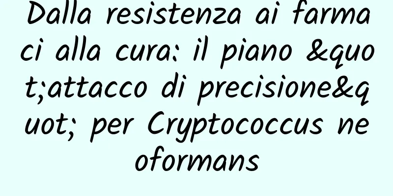 Dalla resistenza ai farmaci alla cura: il piano "attacco di precisione" per Cryptococcus neoformans