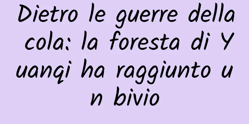 Dietro le guerre della cola: la foresta di Yuanqi ha raggiunto un bivio