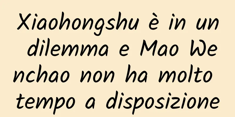 Xiaohongshu è in un dilemma e Mao Wenchao non ha molto tempo a disposizione