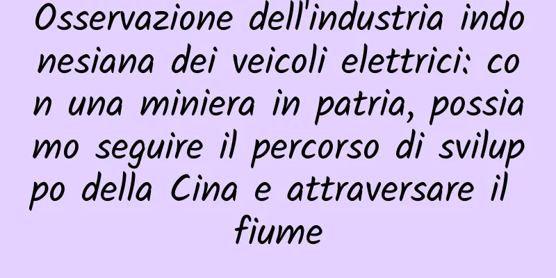 Osservazione dell'industria indonesiana dei veicoli elettrici: con una miniera in patria, possiamo seguire il percorso di sviluppo della Cina e attraversare il fiume