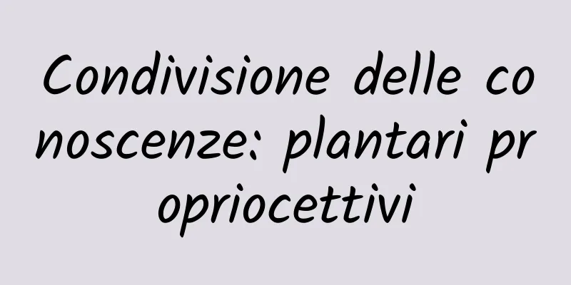 Condivisione delle conoscenze: plantari propriocettivi