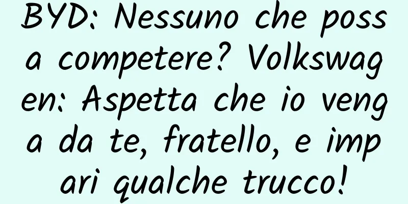 BYD: Nessuno che possa competere? Volkswagen: Aspetta che io venga da te, fratello, e impari qualche trucco!
