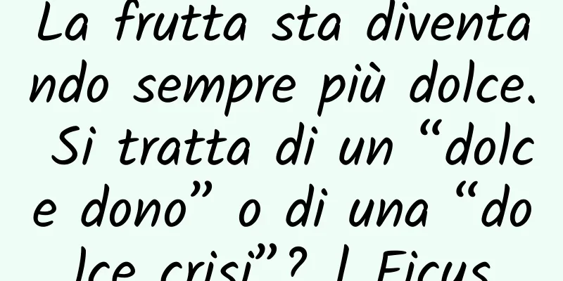 La frutta sta diventando sempre più dolce. Si tratta di un “dolce dono” o di una “dolce crisi”? | Ficus