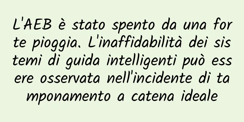 L'AEB è stato spento da una forte pioggia. L'inaffidabilità dei sistemi di guida intelligenti può essere osservata nell'incidente di tamponamento a catena ideale