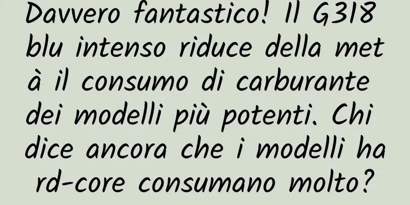 Davvero fantastico! Il G318 blu intenso riduce della metà il consumo di carburante dei modelli più potenti. Chi dice ancora che i modelli hard-core consumano molto?