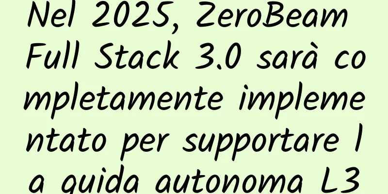 Nel 2025, ZeroBeam Full Stack 3.0 sarà completamente implementato per supportare la guida autonoma L3