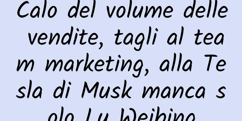 Calo del volume delle vendite, tagli al team marketing, alla Tesla di Musk manca solo Lu Weibing