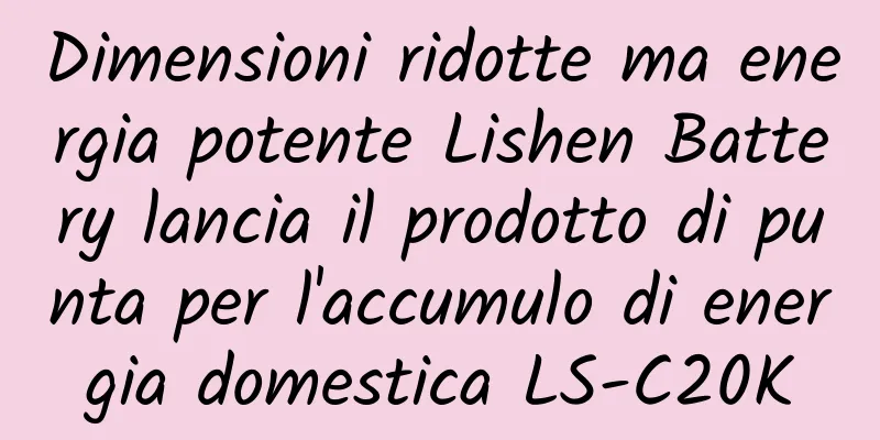 Dimensioni ridotte ma energia potente Lishen Battery lancia il prodotto di punta per l'accumulo di energia domestica LS-C20K