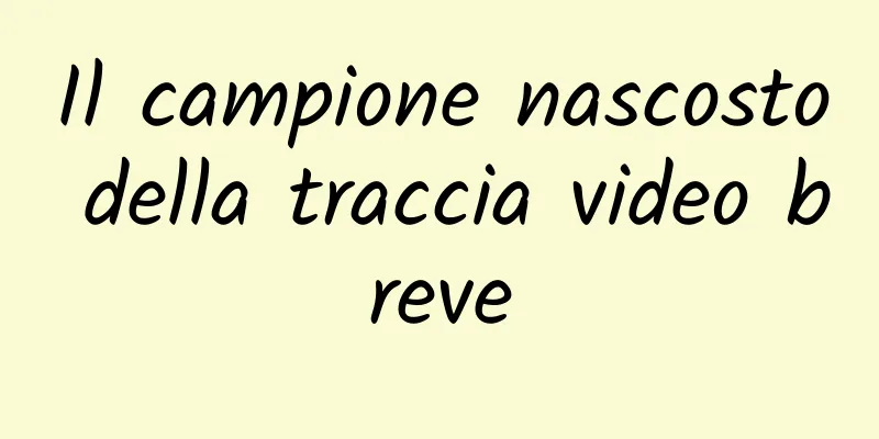 Il campione nascosto della traccia video breve