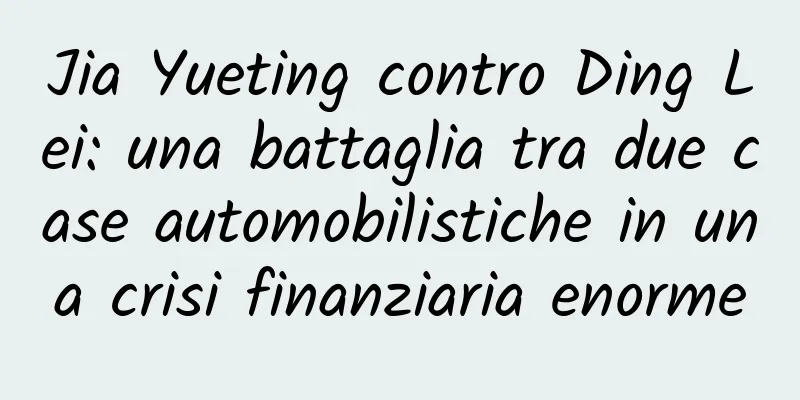 Jia Yueting contro Ding Lei: una battaglia tra due case automobilistiche in una crisi finanziaria enorme