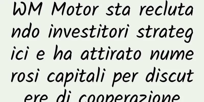 WM Motor sta reclutando investitori strategici e ha attirato numerosi capitali per discutere di cooperazione