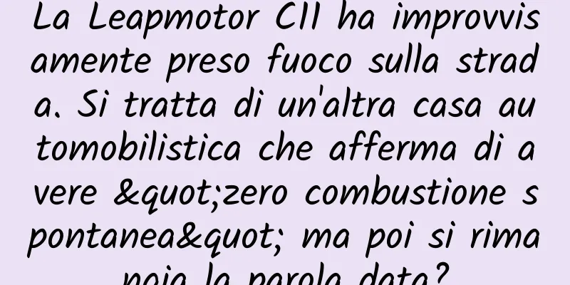 La Leapmotor C11 ha improvvisamente preso fuoco sulla strada. Si tratta di un'altra casa automobilistica che afferma di avere "zero combustione spontanea" ma poi si rimangia la parola data?