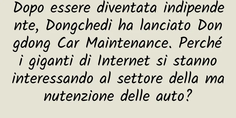 Dopo essere diventata indipendente, Dongchedi ha lanciato Dongdong Car Maintenance. Perché i giganti di Internet si stanno interessando al settore della manutenzione delle auto?