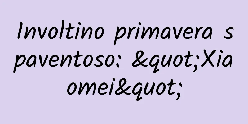 Involtino primavera spaventoso: "Xiaomei"