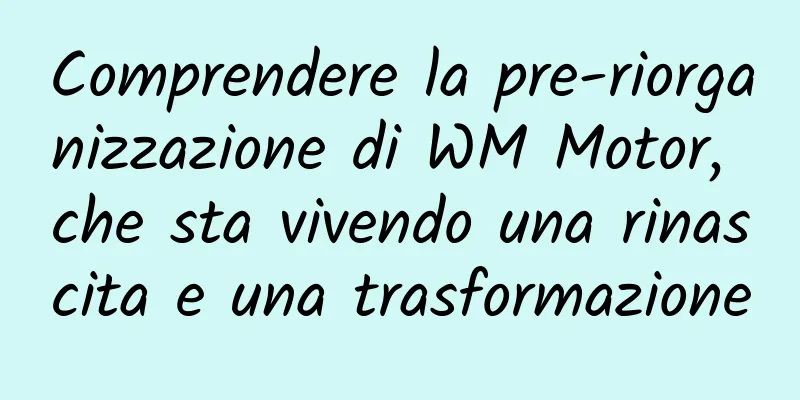 Comprendere la pre-riorganizzazione di WM Motor, che sta vivendo una rinascita e una trasformazione