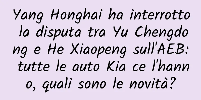 Yang Honghai ha interrotto la disputa tra Yu Chengdong e He Xiaopeng sull'AEB: tutte le auto Kia ce l'hanno, quali sono le novità?