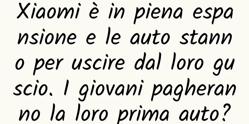 Xiaomi è in piena espansione e le auto stanno per uscire dal loro guscio. I giovani pagheranno la loro prima auto?