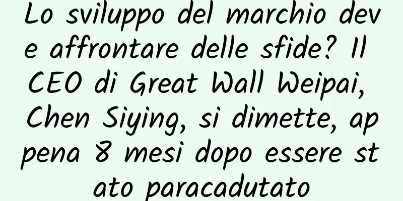 Lo sviluppo del marchio deve affrontare delle sfide? Il CEO di Great Wall Weipai, Chen Siying, si dimette, appena 8 mesi dopo essere stato paracadutato