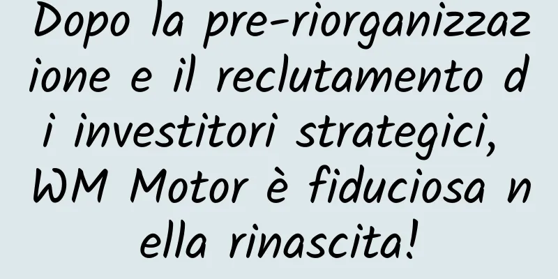 Dopo la pre-riorganizzazione e il reclutamento di investitori strategici, WM Motor è fiduciosa nella rinascita!