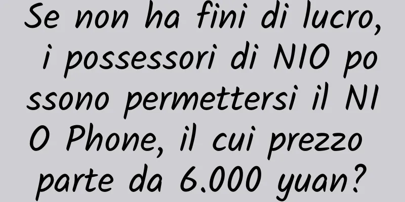 Se non ha fini di lucro, i possessori di NIO possono permettersi il NIO Phone, il cui prezzo parte da 6.000 yuan?