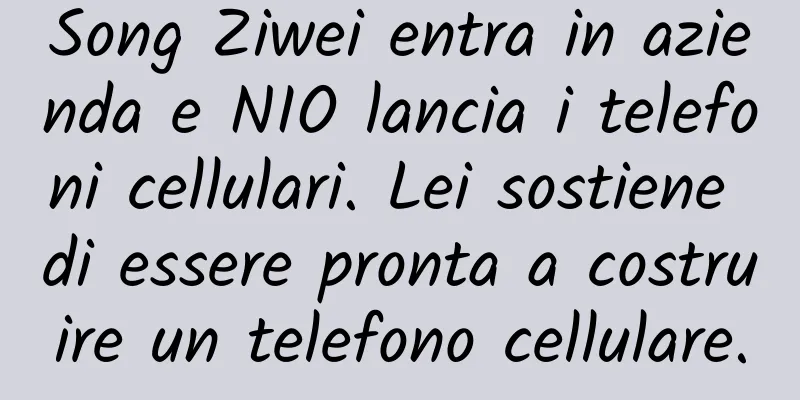 Song Ziwei entra in azienda e NIO lancia i telefoni cellulari. Lei sostiene di essere pronta a costruire un telefono cellulare.