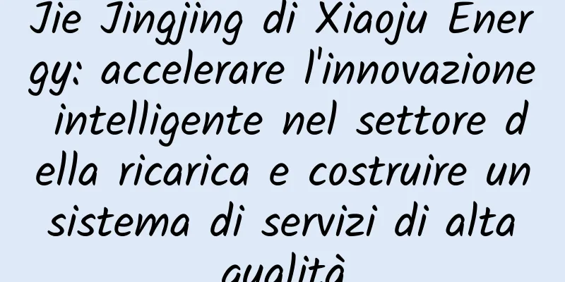 Jie Jingjing di Xiaoju Energy: accelerare l'innovazione intelligente nel settore della ricarica e costruire un sistema di servizi di alta qualità
