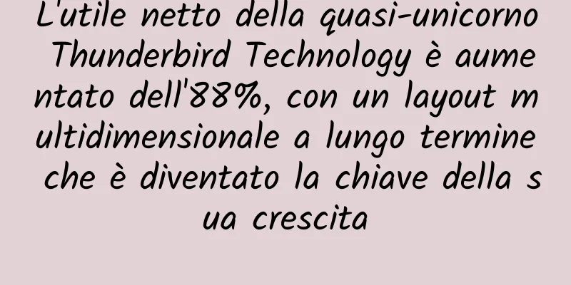 L'utile netto della quasi-unicorno Thunderbird Technology è aumentato dell'88%, con un layout multidimensionale a lungo termine che è diventato la chiave della sua crescita
