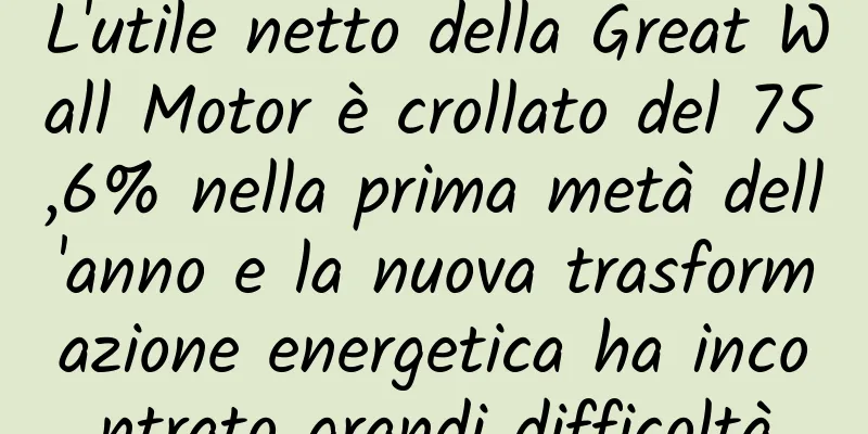L'utile netto della Great Wall Motor è crollato del 75,6% nella prima metà dell'anno e la nuova trasformazione energetica ha incontrato grandi difficoltà