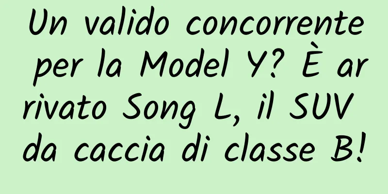 Un valido concorrente per la Model Y? È arrivato Song L, il SUV da caccia di classe B!