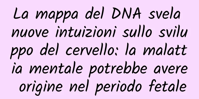 La mappa del DNA svela nuove intuizioni sullo sviluppo del cervello: la malattia mentale potrebbe avere origine nel periodo fetale
