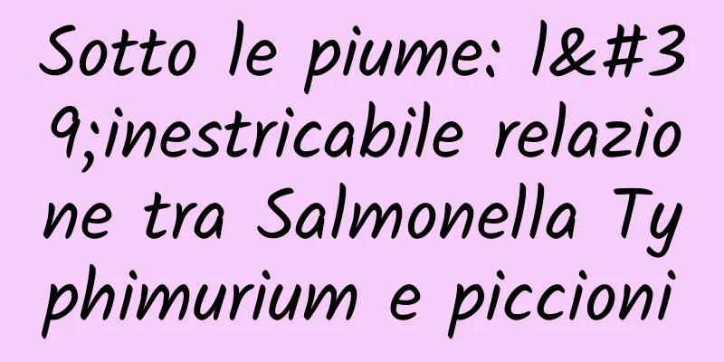Sotto le piume: l'inestricabile relazione tra Salmonella Typhimurium e piccioni