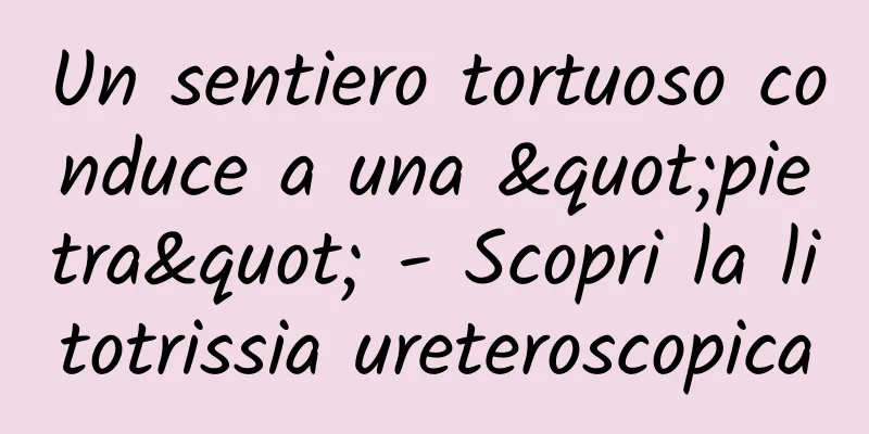 Un sentiero tortuoso conduce a una "pietra" - Scopri la litotrissia ureteroscopica