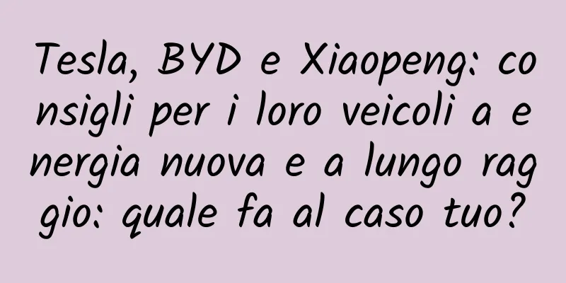 Tesla, BYD e Xiaopeng: consigli per i loro veicoli a energia nuova e a lungo raggio: quale fa al caso tuo?