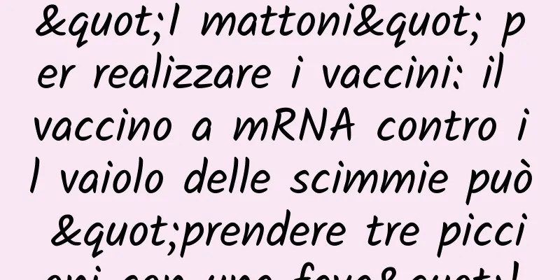 "I mattoni" per realizzare i vaccini: il vaccino a mRNA contro il vaiolo delle scimmie può "prendere tre piccioni con una fava"!