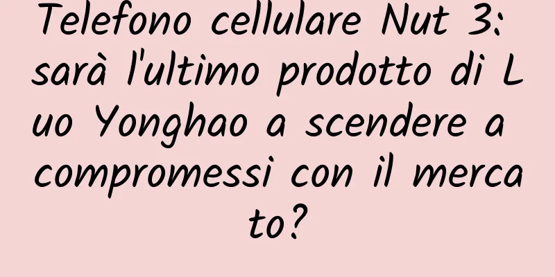 Telefono cellulare Nut 3: sarà l'ultimo prodotto di Luo Yonghao a scendere a compromessi con il mercato?