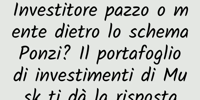 Investitore pazzo o mente dietro lo schema Ponzi? Il portafoglio di investimenti di Musk ti dà la risposta