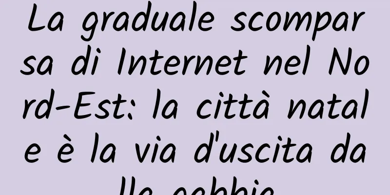 La graduale scomparsa di Internet nel Nord-Est: la città natale è la via d'uscita dalla gabbia