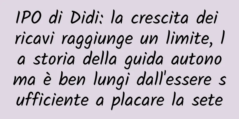 IPO di Didi: la crescita dei ricavi raggiunge un limite, la storia della guida autonoma è ben lungi dall'essere sufficiente a placare la sete