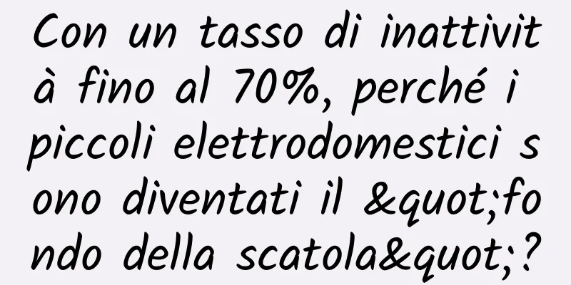 Con un tasso di inattività fino al 70%, perché i piccoli elettrodomestici sono diventati il ​​"fondo della scatola"?