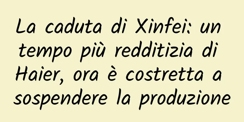 La caduta di Xinfei: un tempo più redditizia di Haier, ora è costretta a sospendere la produzione