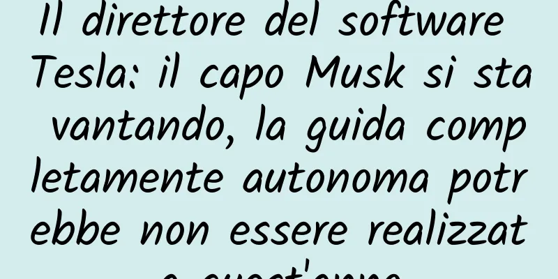 Il direttore del software Tesla: il capo Musk si sta vantando, la guida completamente autonoma potrebbe non essere realizzata quest'anno