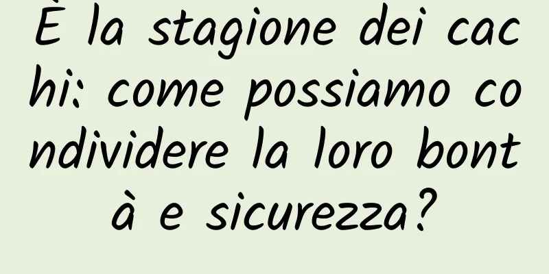 È la stagione dei cachi: come possiamo condividere la loro bontà e sicurezza?