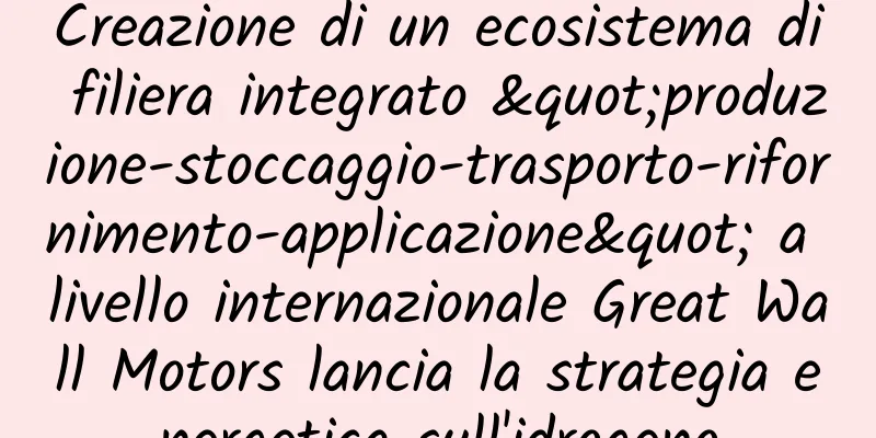 Creazione di un ecosistema di filiera integrato "produzione-stoccaggio-trasporto-rifornimento-applicazione" a livello internazionale Great Wall Motors lancia la strategia energetica sull'idrogeno