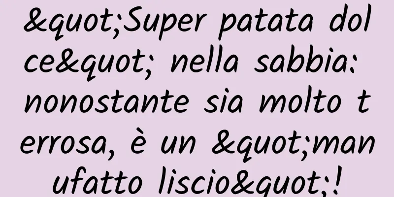 "Super patata dolce" nella sabbia: nonostante sia molto terrosa, è un "manufatto liscio"!